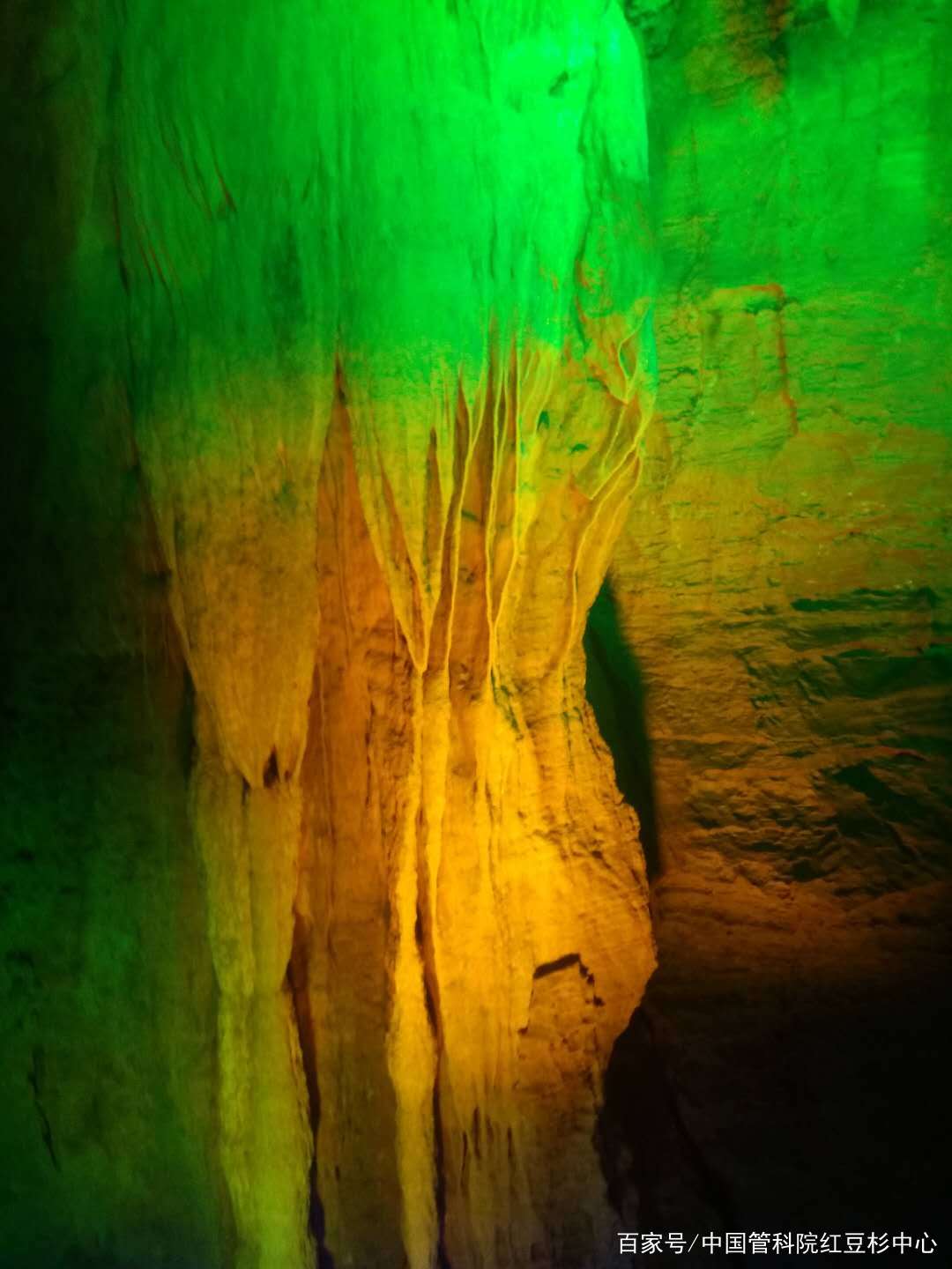 山东沂水地下大峡谷,山东沂水地下大峡谷好玩吗