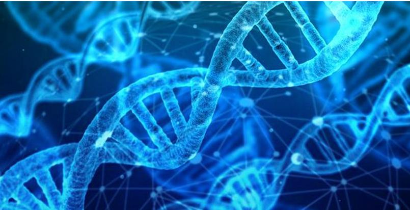 血小板增高症jak2突变比值怎么看,血小板增多症jak2基因突变