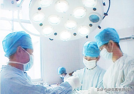 南昌大学！“高薪”职业就业推荐