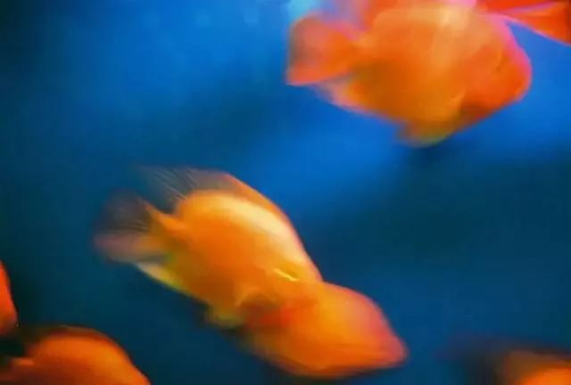 老公特别计较钱怎么办,老公经常跟老婆计较钱该怎么办