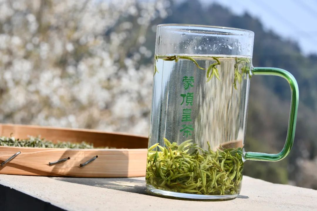 我们争分夺秒加班加点,就是为了奉上今春这第一波蒙顶皇茶!