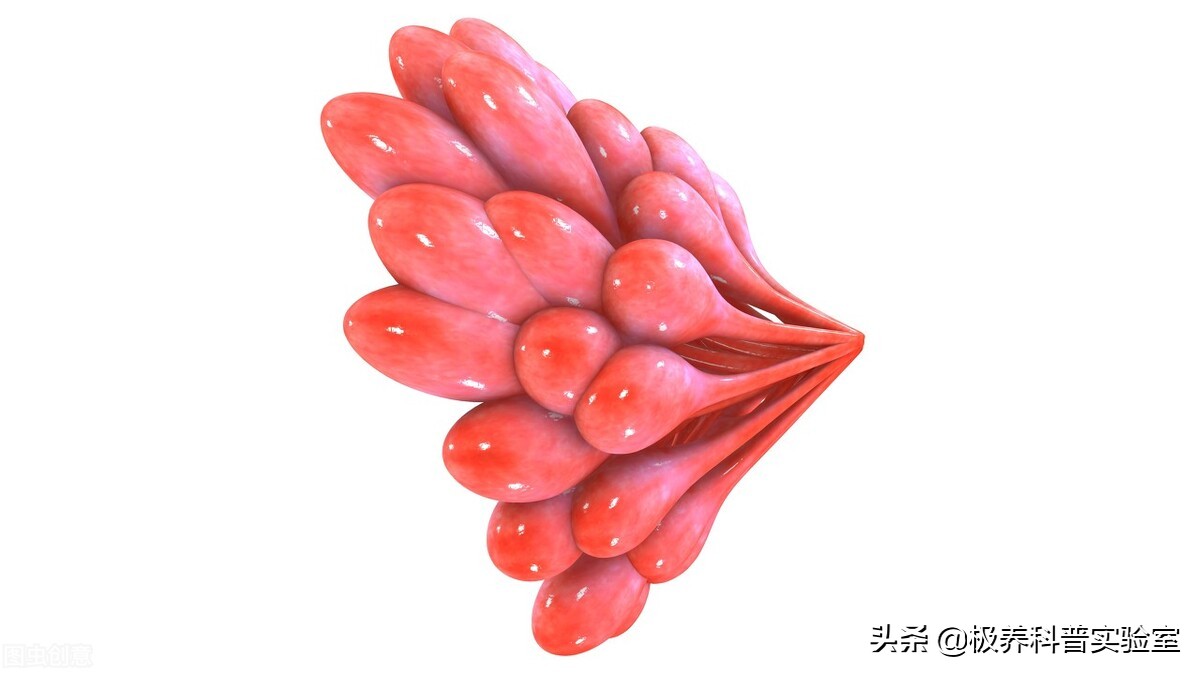 母乳中有哪些保护因子,母乳中有哪些保护因子成分