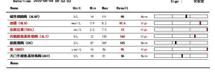 猫咪脂肪肝黄疸的真实经历,猫咪脂肪肝在家治疗方法