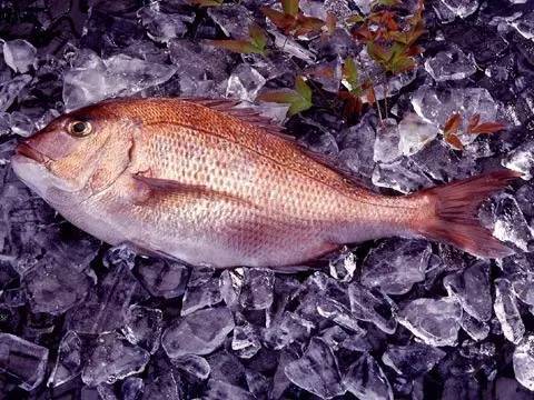 日本人为什么喜欢吃生鱼片寿司,日本人为什么那么喜欢吃生鱼片
