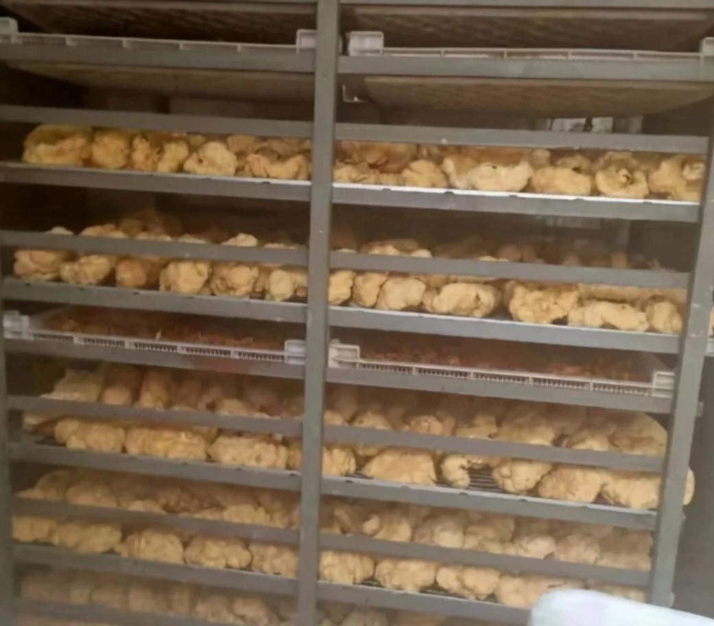 人体胎盘能吃吗有啥作用,人体胎盘能吃吗有什么作用