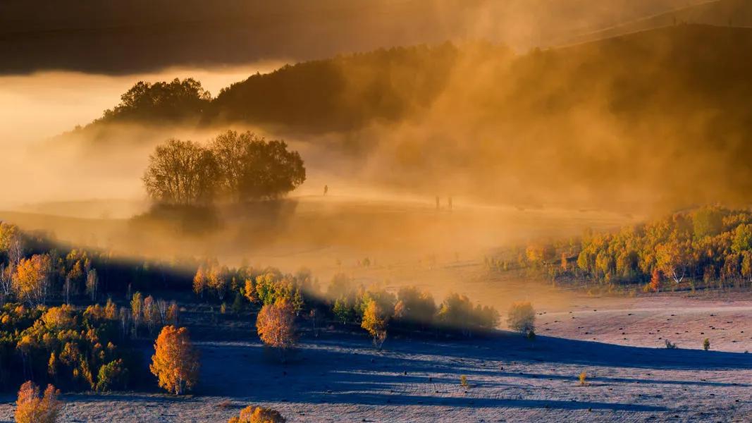 坝上秋色之金色草原,坝上金色草原风景