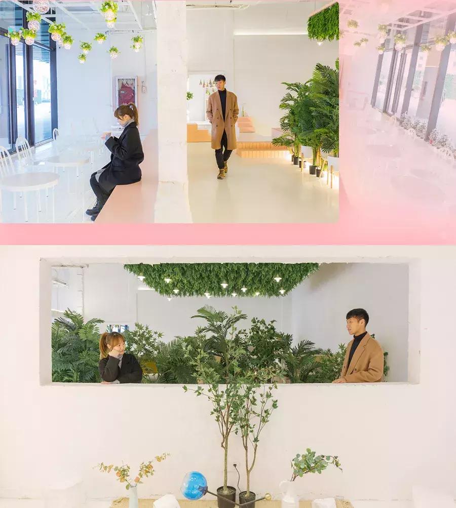 撩炸日韩少女心!风靡韩国的「花草系」咖啡店,韩国明星都爱去!
