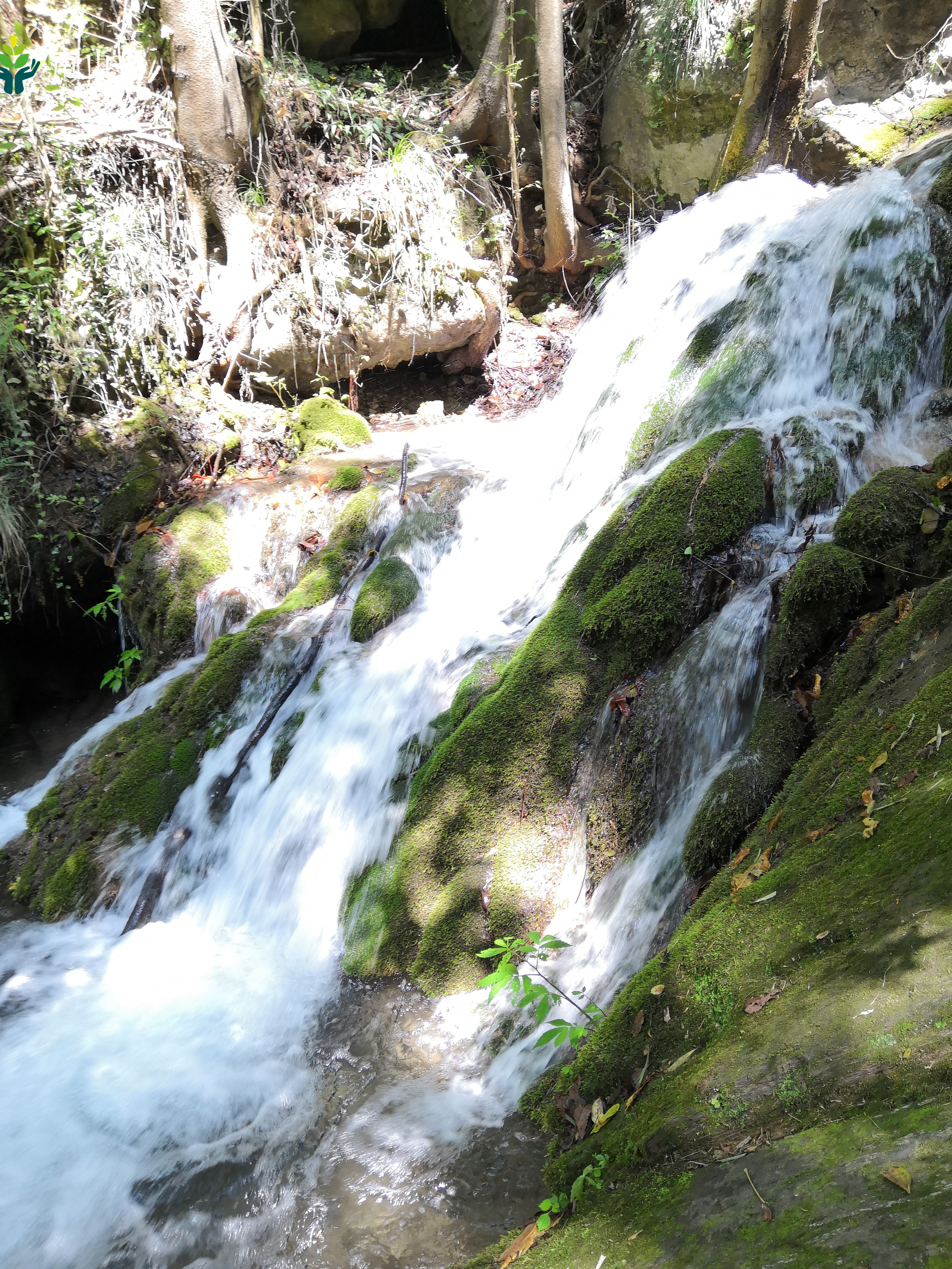 湖北郧西龙潭河介绍,郧西传统文化