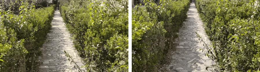 vivonex3s详细评测,性能升级之作vivonex3s上手体验