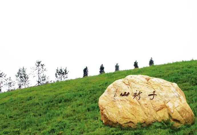 辽宁省高校（三十一）大连医科大学