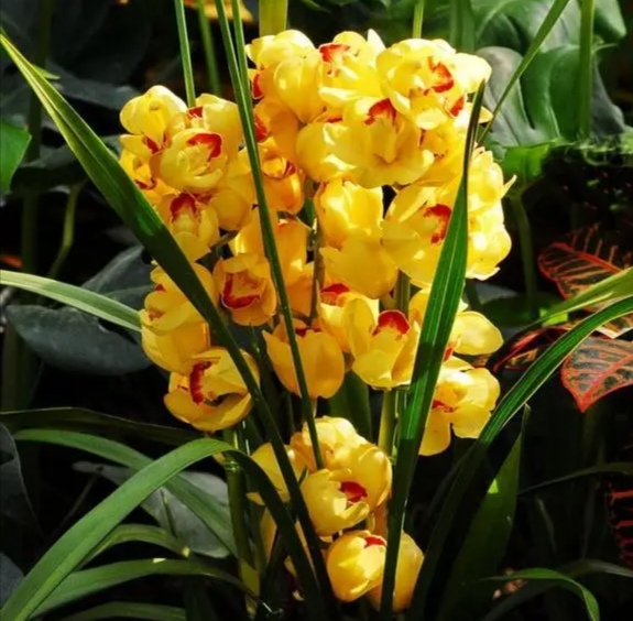 逼格什么是逼格,逼格的句子大全