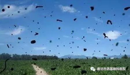 年龄大了飞蚊症恢复最简单,年纪轻轻得了飞蚊症