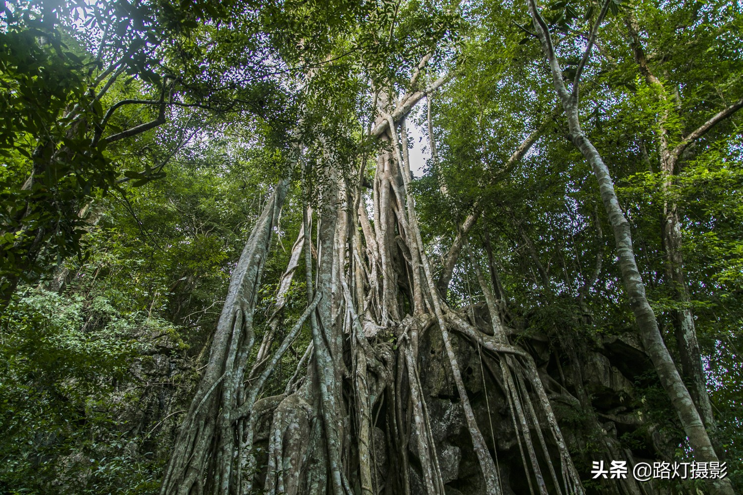 云南十大世界级景区,云南有几个5a级旅游景区
