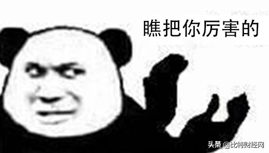 币圈*局骗**下的韭菜人生：何不食肉糜？