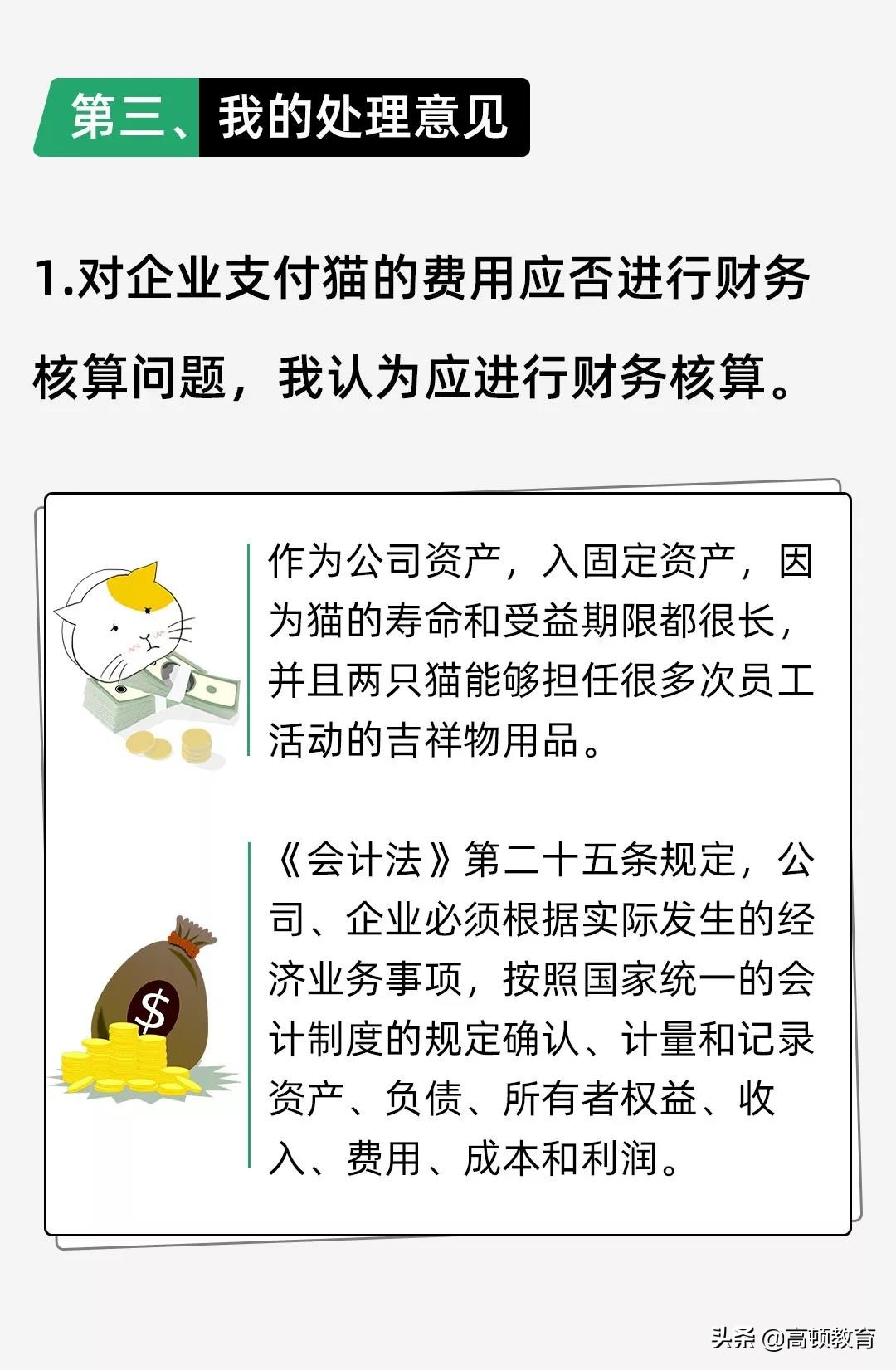 公司养了一只猫怎么记账,公司买的猫怎么入账