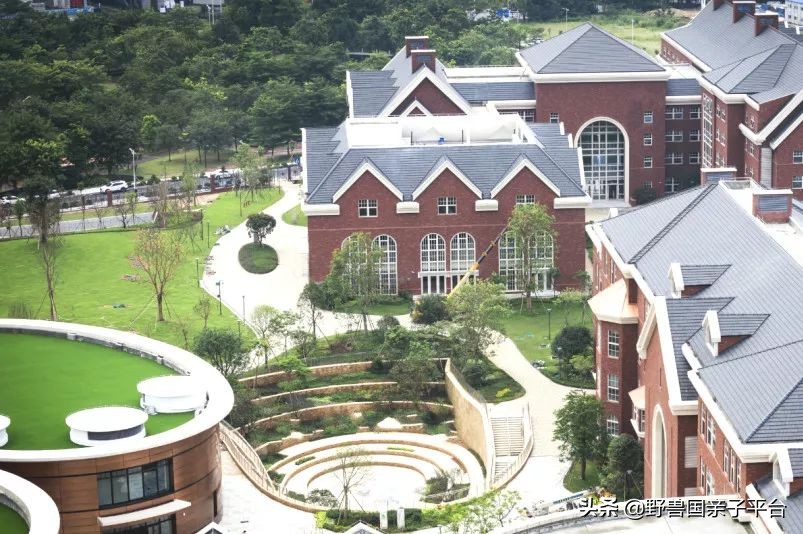 一年20万学费的清澜山学校,都在学些什么?