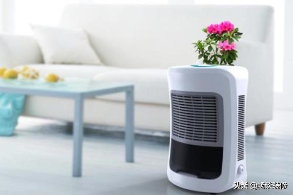 家里潮湿发霉掉墙皮怎么解决,家里太潮湿怎么解决