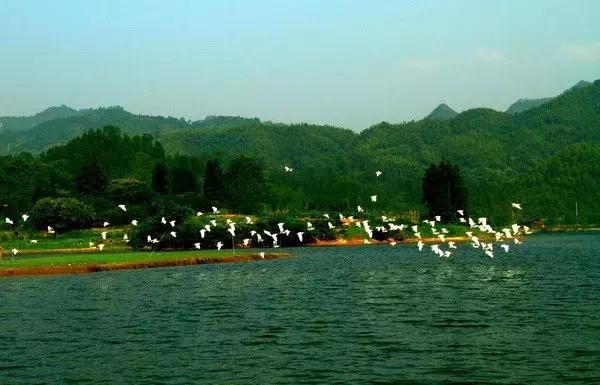 探寻湘境|不到绥宁，何以醉倒风情水乡花园阁？