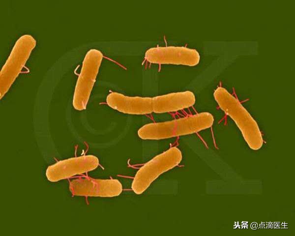 毛鸡蛋时间长了能不能吃,过夜的毛鸡蛋能吃吗