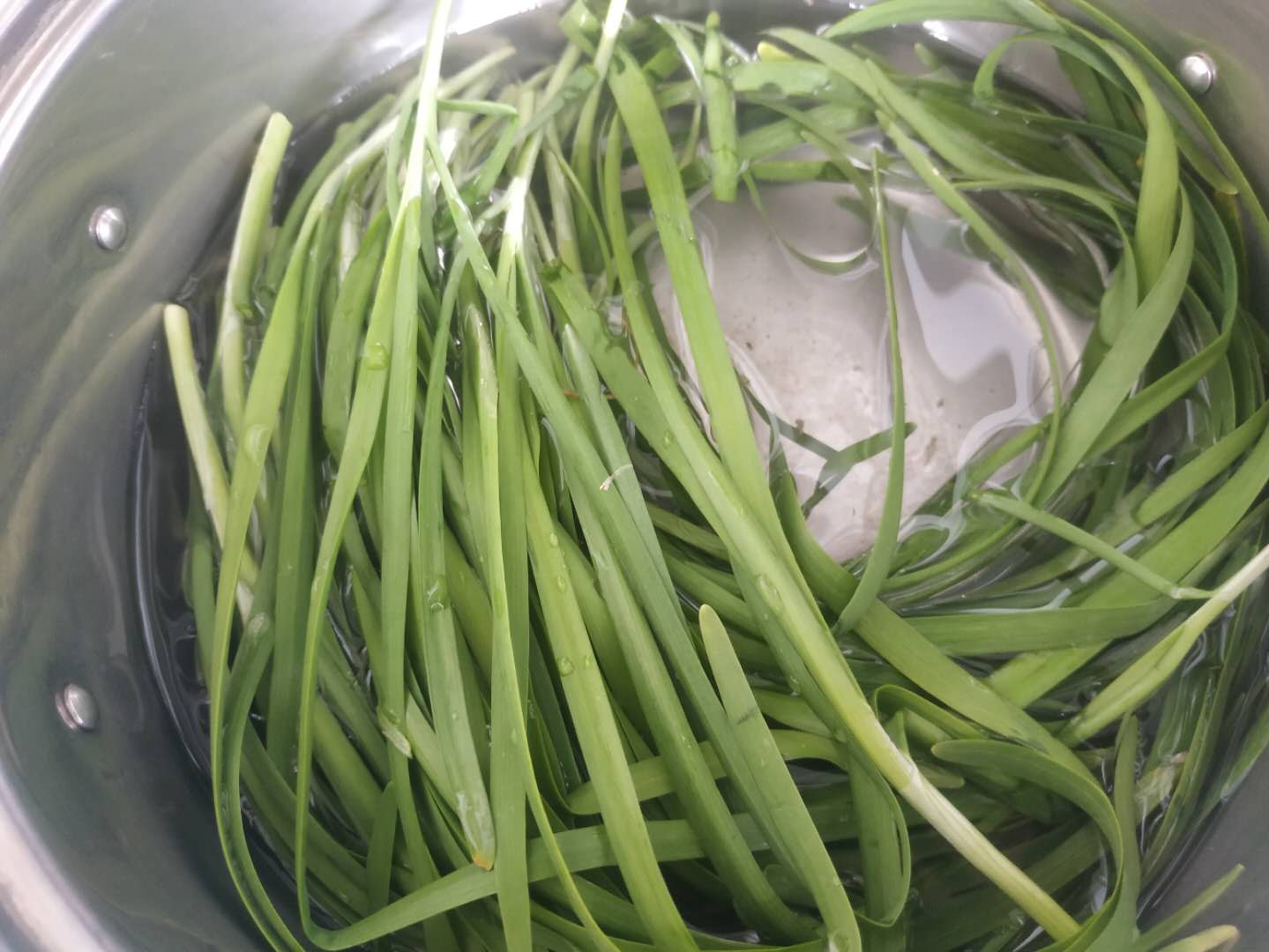 皮薄馅大韭菜粉条半发面包子,韭菜鸡蛋虾皮包子馅的最佳做法