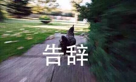 微商代购有用吗,关于微商和代购