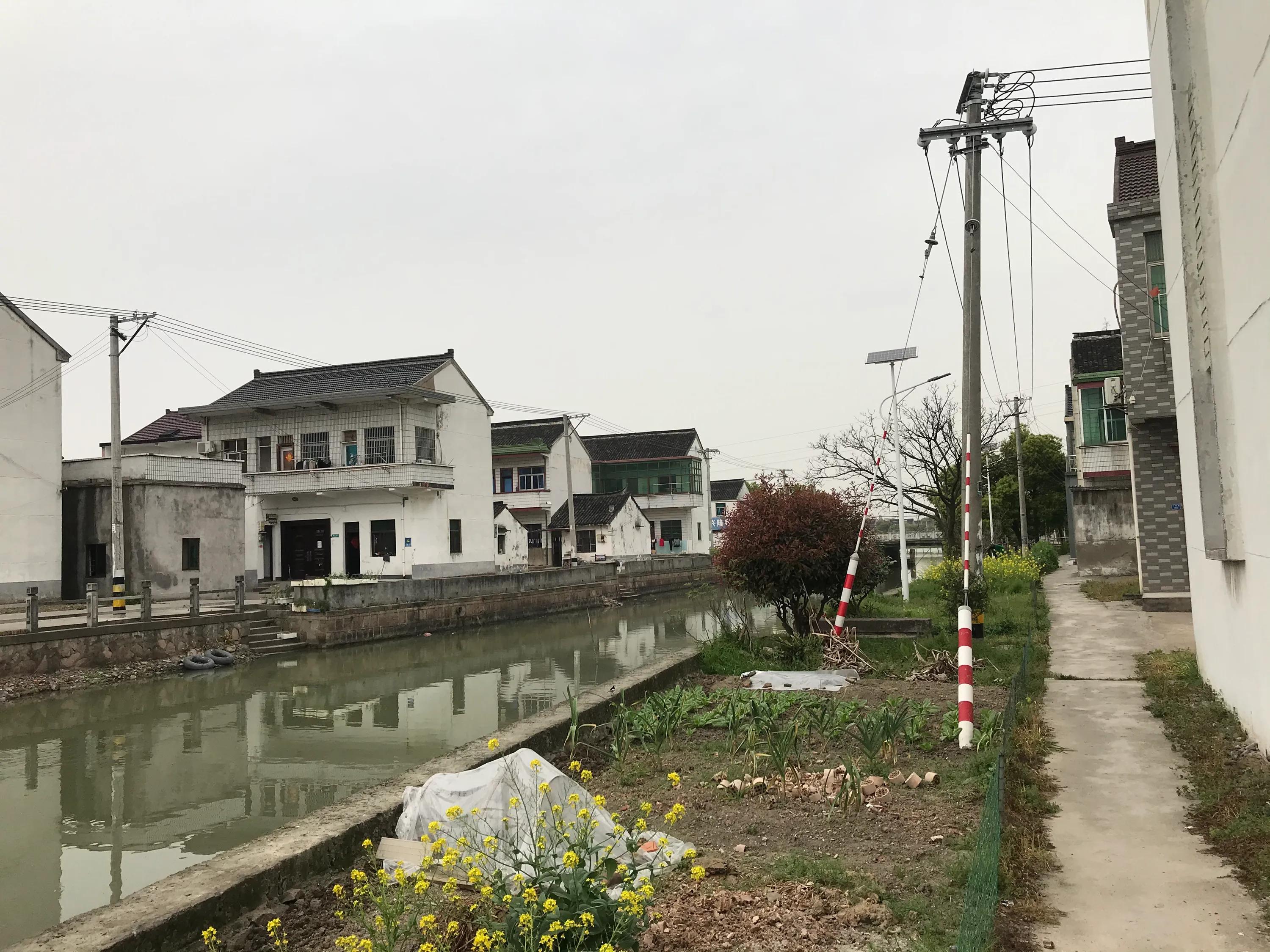 苏州吴江震泽八都,吴江区震泽八都贯桥社区