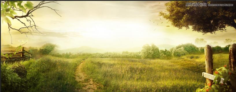 ps化妆品海报设计创意横版电商,化妆品的banner图设计教程