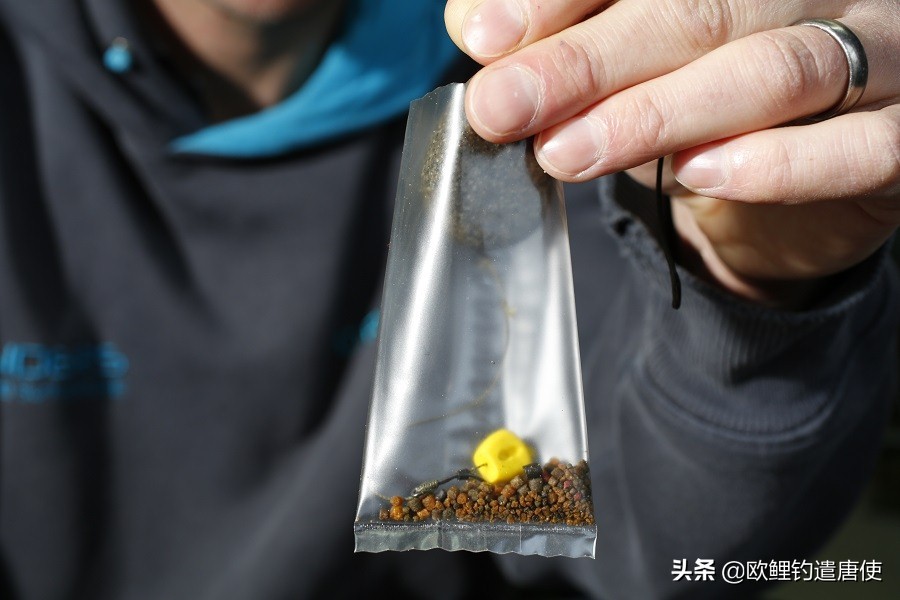 外国人钓鱼打窝技巧,老外用超大饵钓鱼