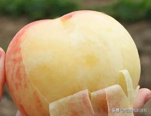 陕西水蜜桃哪里的最好吃,西安脆甜水蜜桃
