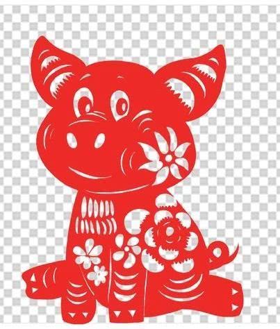 从丁亥到己亥—武昌水果湖中学六六届高三（1）班同学聚会本命年