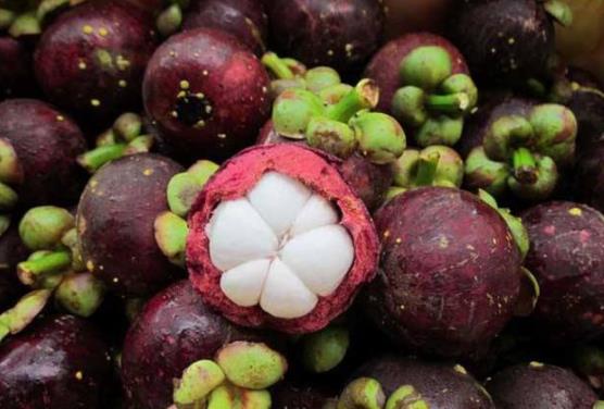 山竹应该怎么剥有什么小妙招,山竹要怎么剥才能剥出完整的果肉