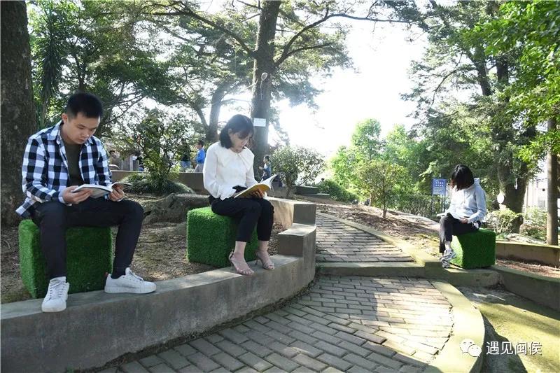 古树群下现“鸟巢书屋”，快来闽侯“悦”读一下