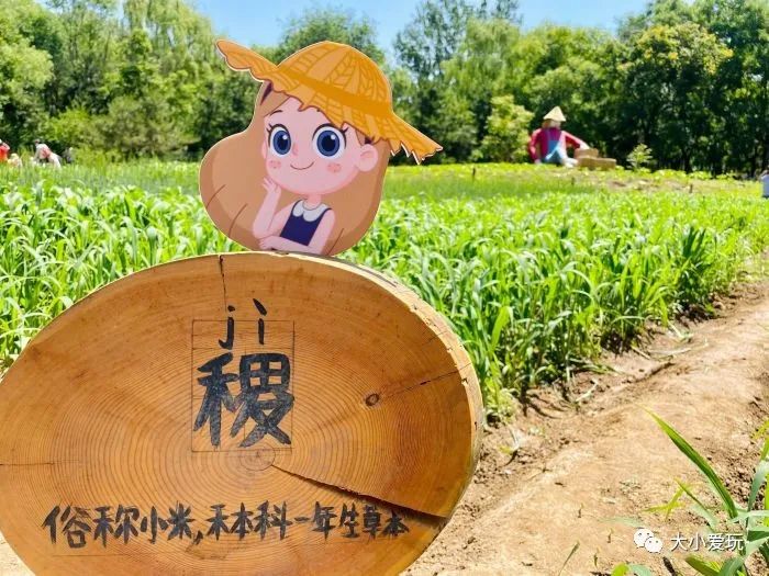 北京再添新乐园，未开先火、全年龄畅玩～六大欢乐目的地，快收藏