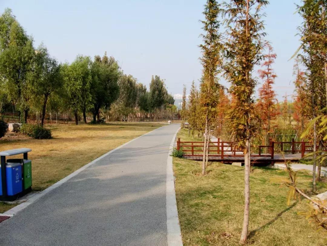 薛城未来五年发展之城南篇,薛城未来重点发展的片区