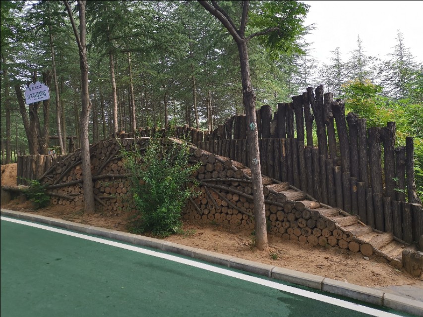 周山森林体育公园,周山公园步道