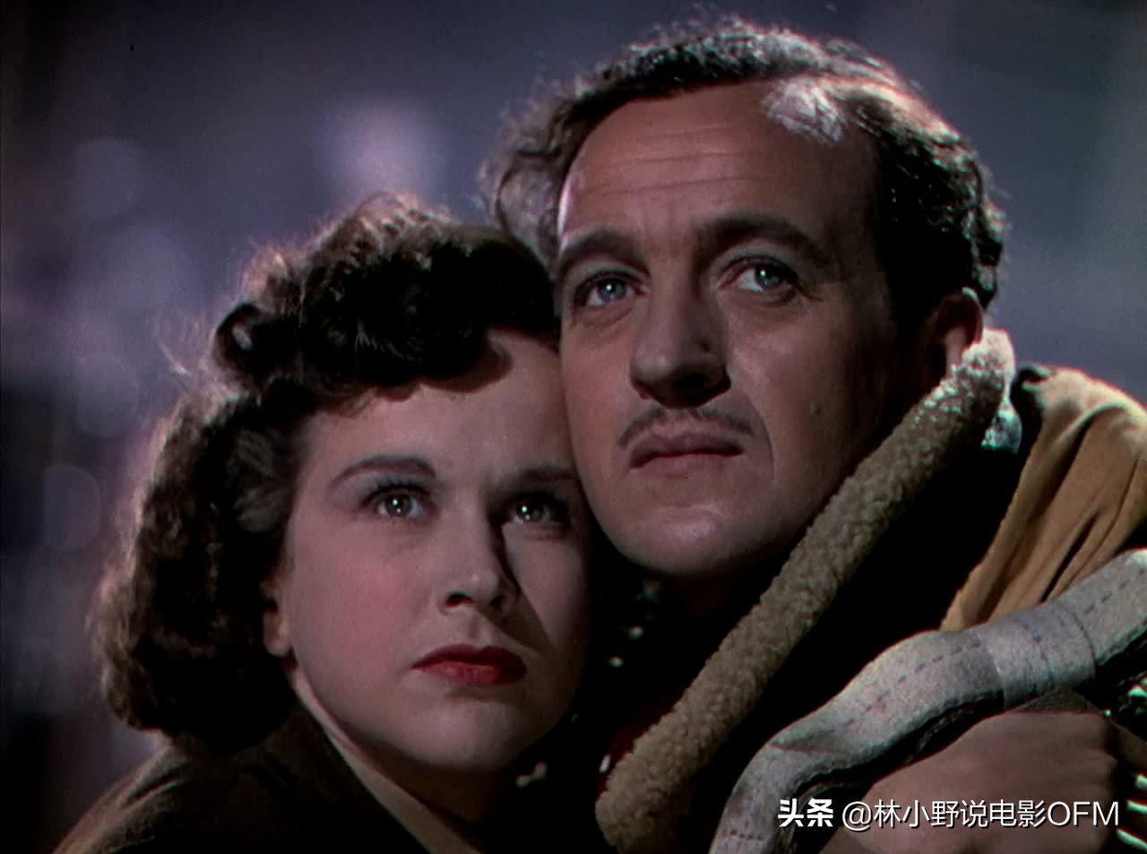 马龙白兰度费雯丽关系,马龙白兰度费雯丽合照