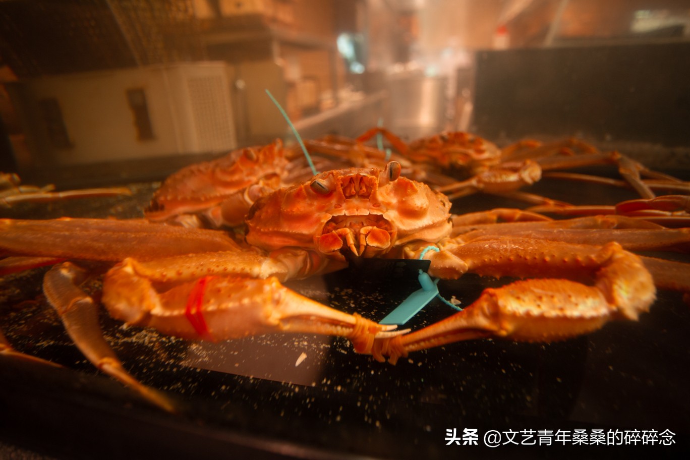 冬季日本的自驾游攻略,冬日游日本名古屋攻略