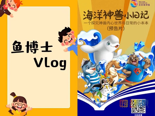 北京海洋馆超大锦鲤,北京海洋馆锦鲤