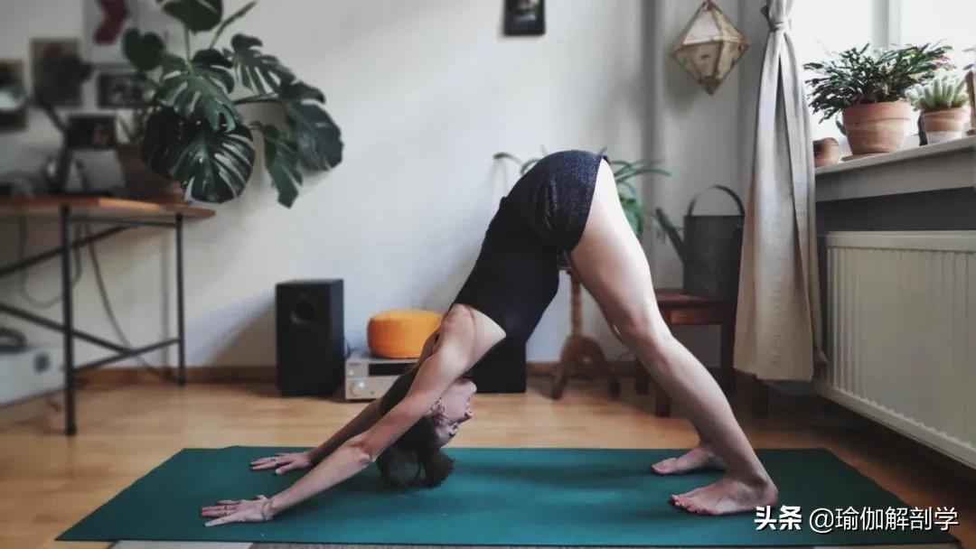 一套适合晨练的瑜伽序列越练越美,初学者简单瑜伽每天必练8个动作