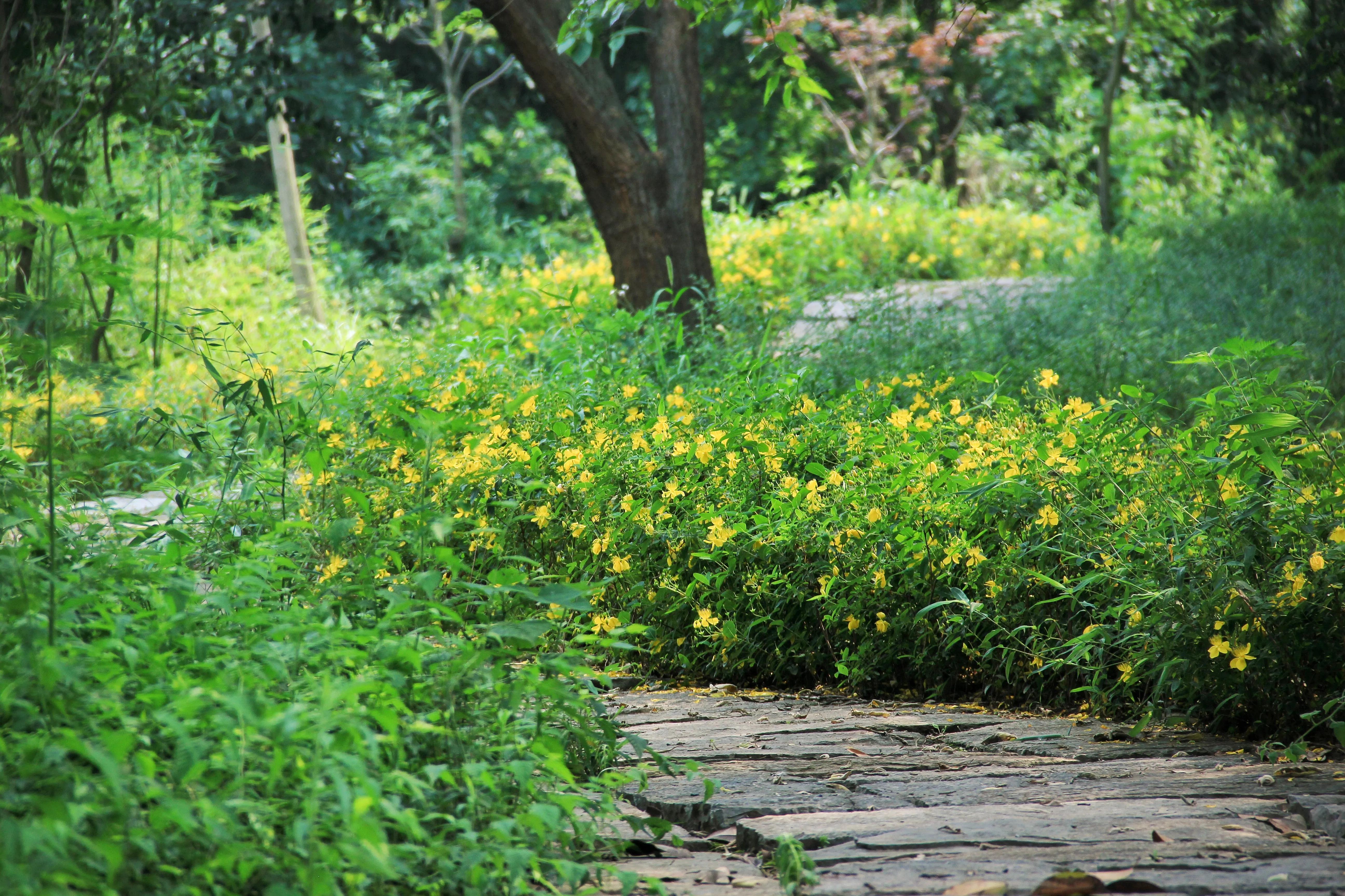 南京珍珠泉门票,南京珍珠泉野生动物园