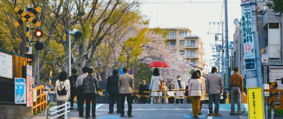 苗侨伟芒果台,4天2000万播放量
