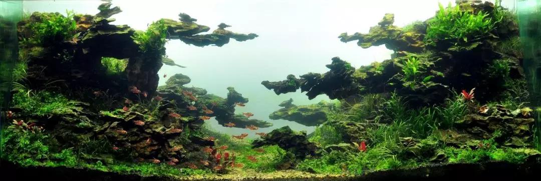 草缸造景教程：胶水造景太温柔，男人就该上电钻