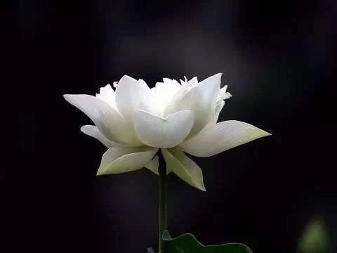 上几根香的讲究,上十二支香代表啥意思