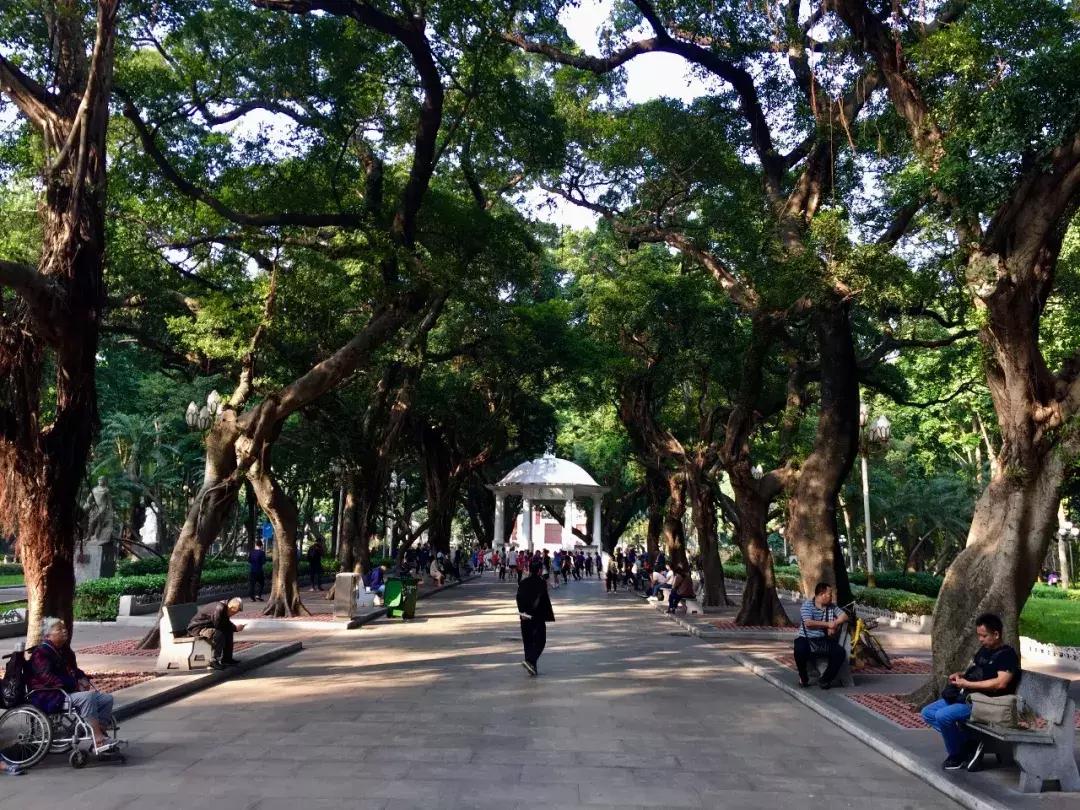 广州一日游的感受,广州一日游感想