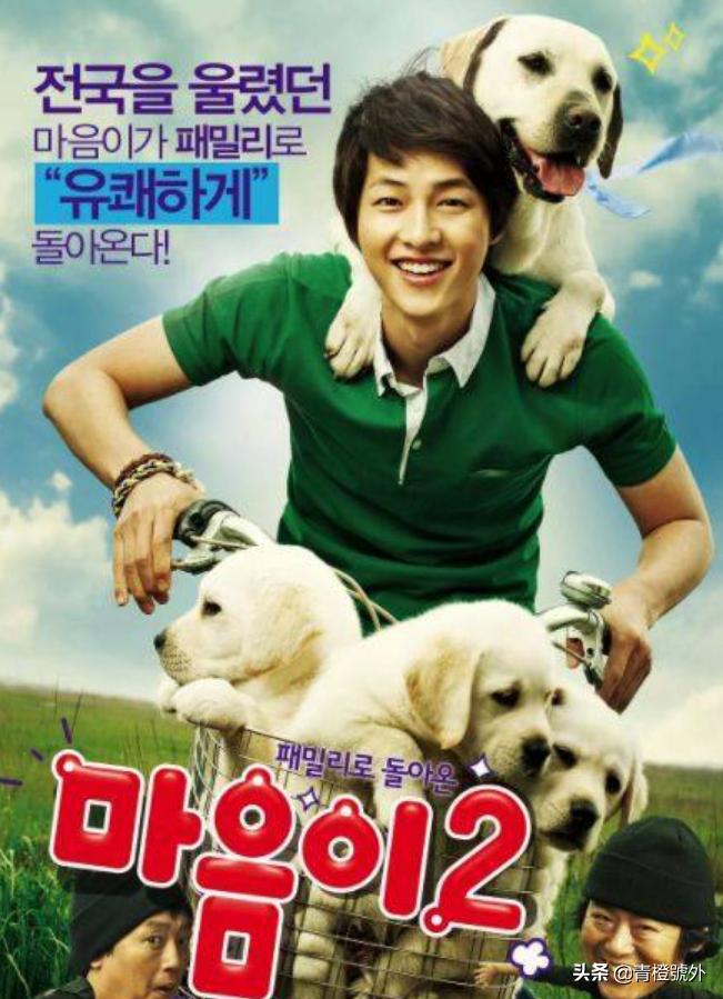 这些童星的彩虹屁我可以吹一年！简直是当代恐婚族的治愈者