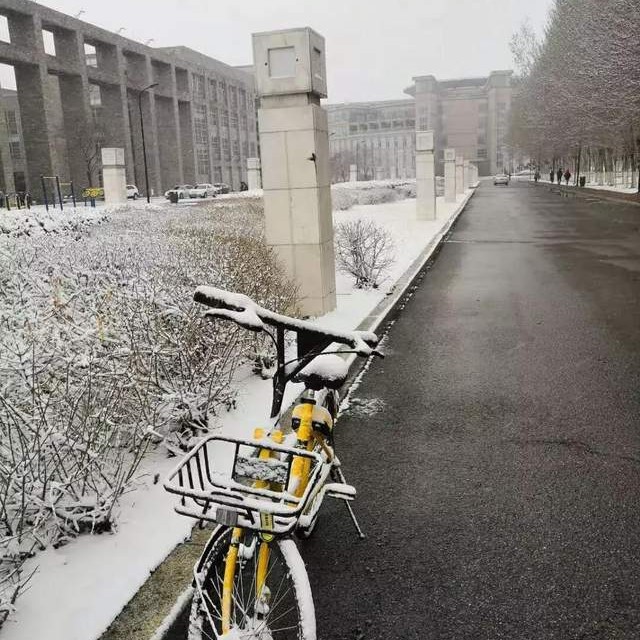 沈阳理工大学辽宁工程技术大学,沈阳理工大学专科院校