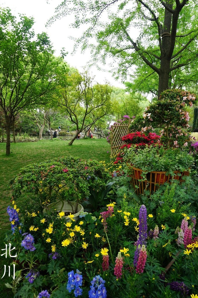 苏州美食之旅最全攻略,寻味江南一日游