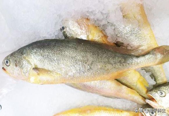 全国十大海鲜排名,中国海鲜十大产地排名最新