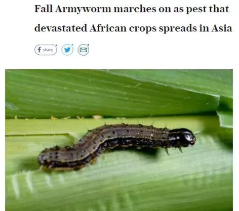 农业防治害虫的方法有哪些,农业对害虫的防治方法