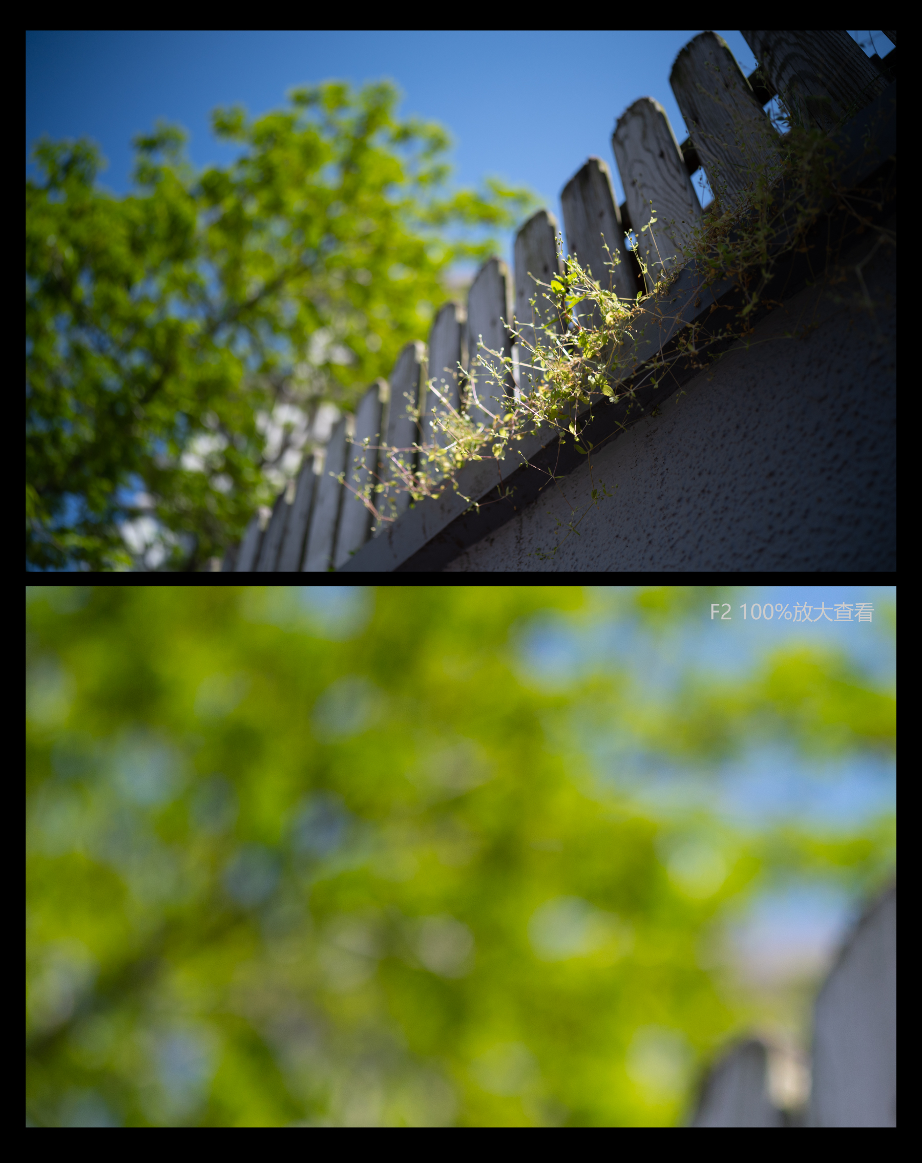 福伦达35mm1.5镜头好不好,福伦达35f2镜头评测